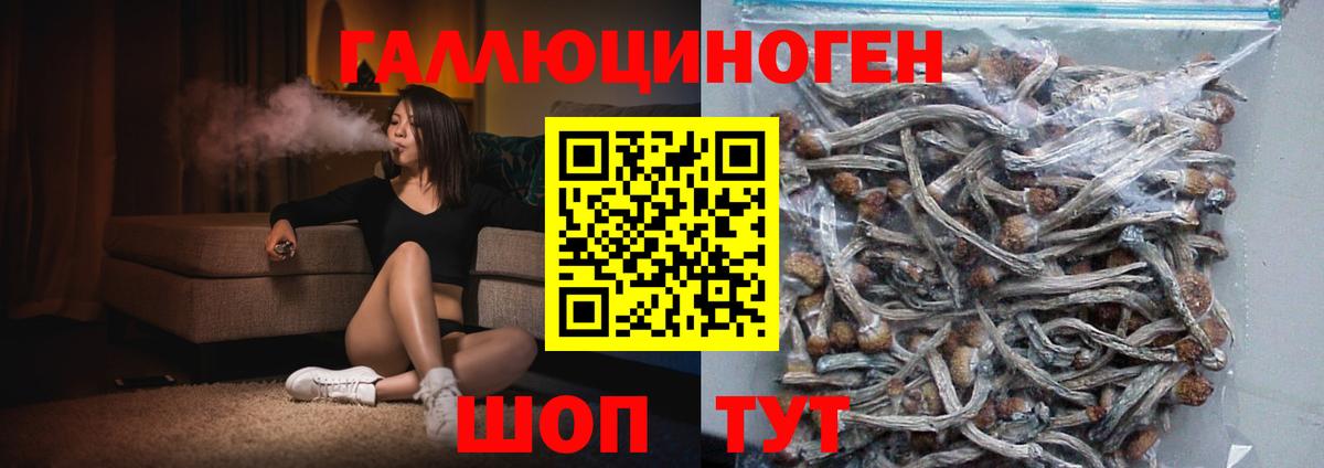 Сосновый Бор  Галлюциногенные грибы мицелий  Псилоцибиновые грибы ЛСД  Вход с VPN 
